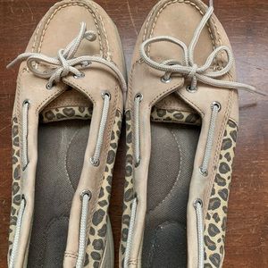 Leopard Sperry angelfish.